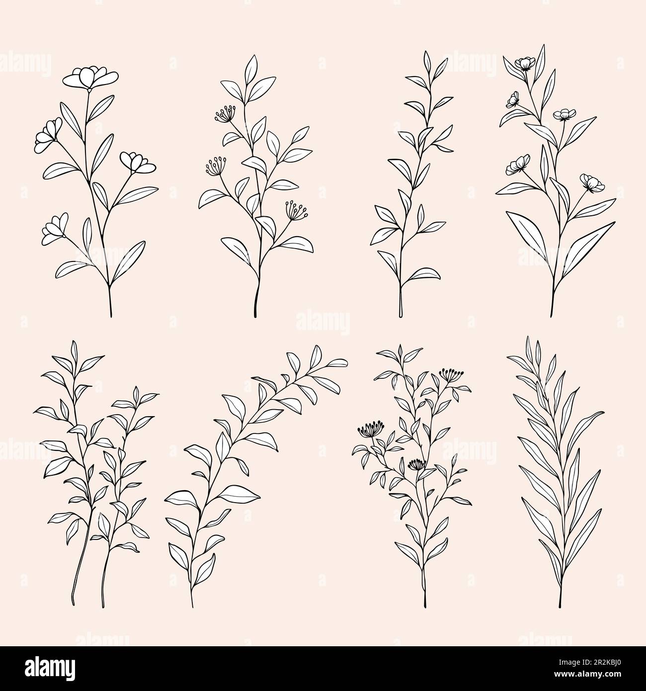 Blumen Blumenzeichnung mit Linien. Handgezeichnete botanische Blumenblätter für die Hochzeitseinladung. Heben Sie die Datumskarte auf. Vektordarstellung. Stock Vektor