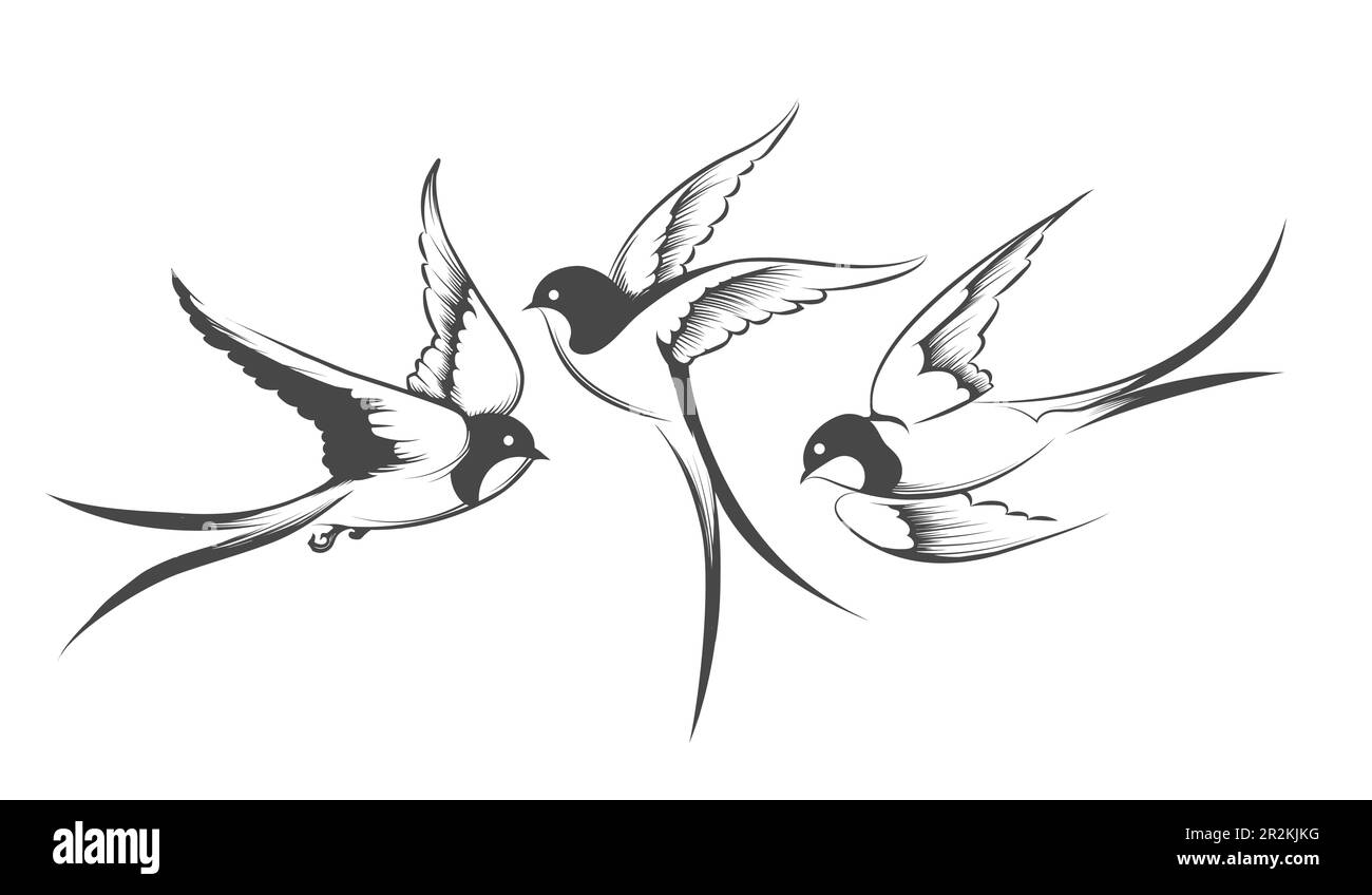 Ein Set fliegender Schwalben. Handgezeichnete Umrisszeichnung isoliert auf weiß. Vektordarstellung Stock Vektor