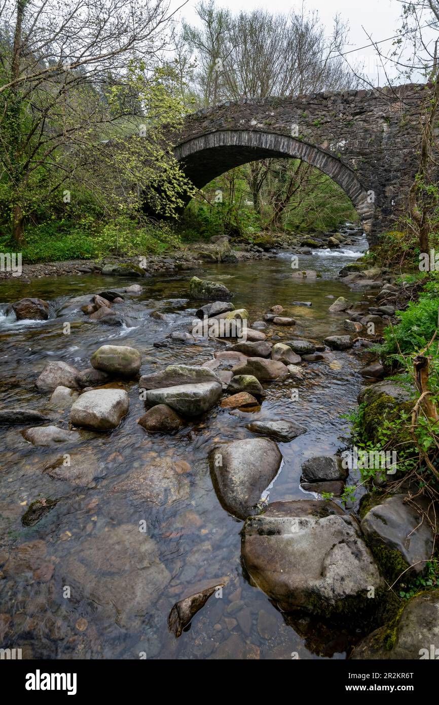 BoNT Newydd bei Aber Falls, Abergwyngreygn, Nordwales. Eine alte Steinbrücke über den Afon Rhaeadr Fawr. Stockfoto