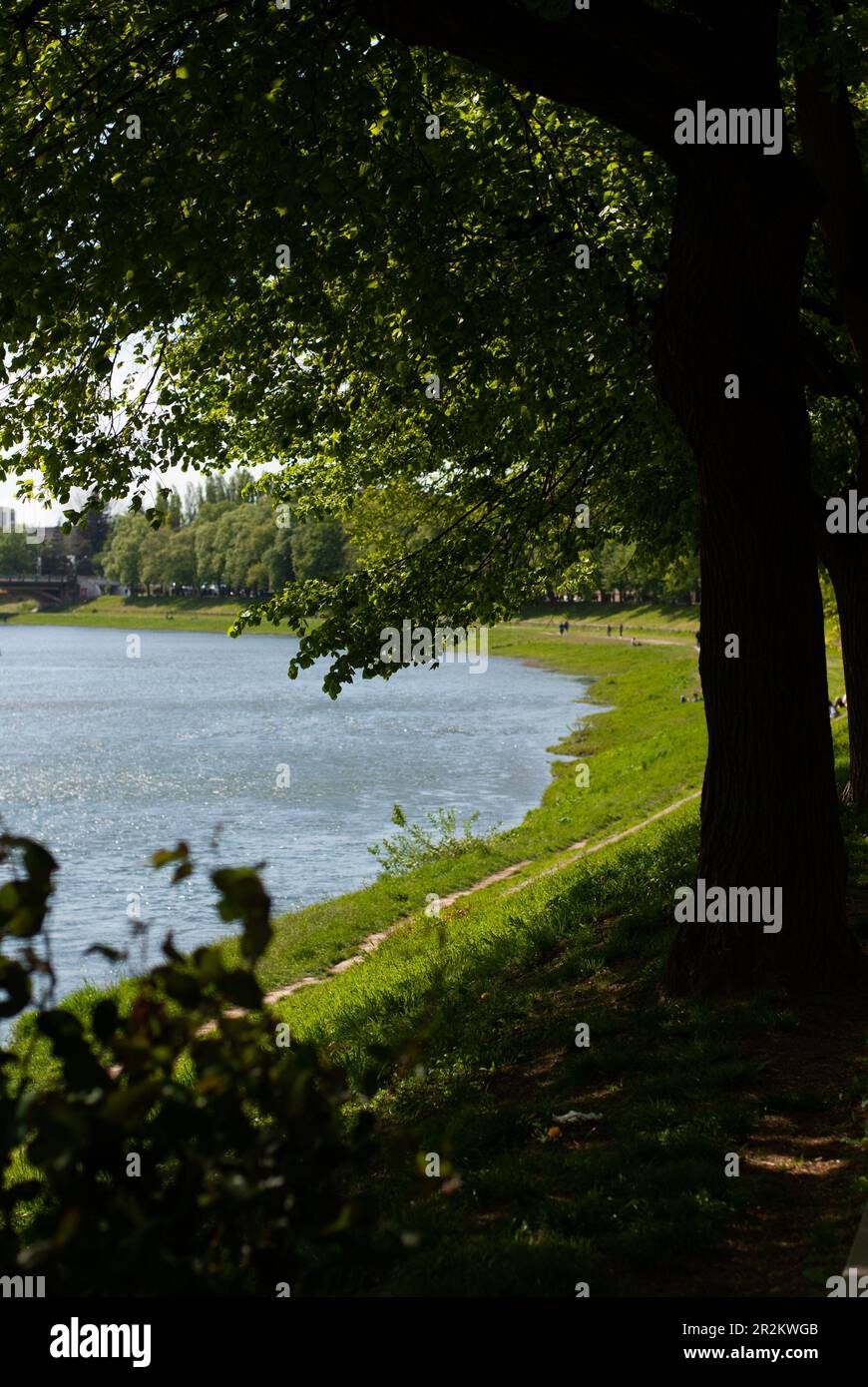 Blick auf den Fluss und das grüne Ufer mit grünen Bäumen an sonnigen Tagen Stockfoto