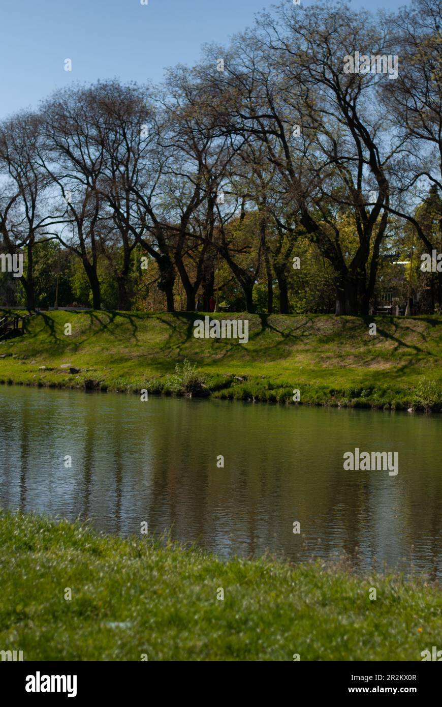 Blick auf den Fluss und das grüne Ufer mit Bäumen an sonnigen Tagen Stockfoto
