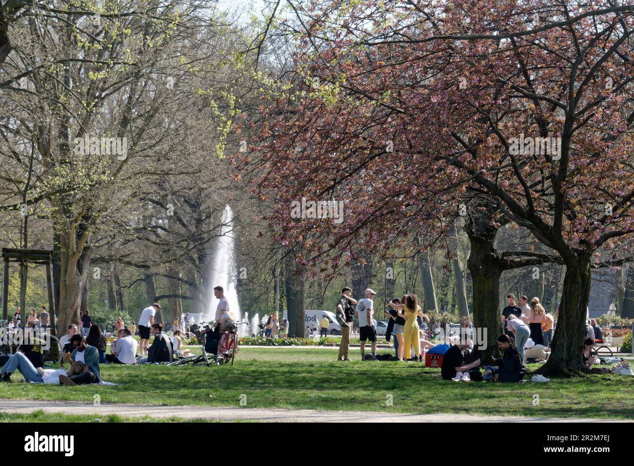 Frühling in Berlin, Treptower Park, Picknick, Hängematte, Kirschblüte, Treptow-Köpenik, Berlin, Deutschland, Europa Stockfoto