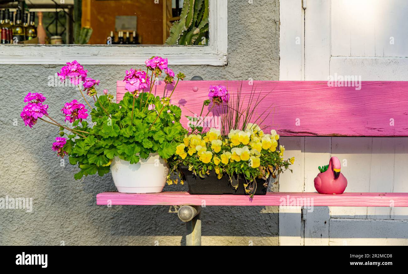 Topfpflanzen und ein rosa Flamingo auf einer rosa Bank in Shelter Island, NY Stockfoto