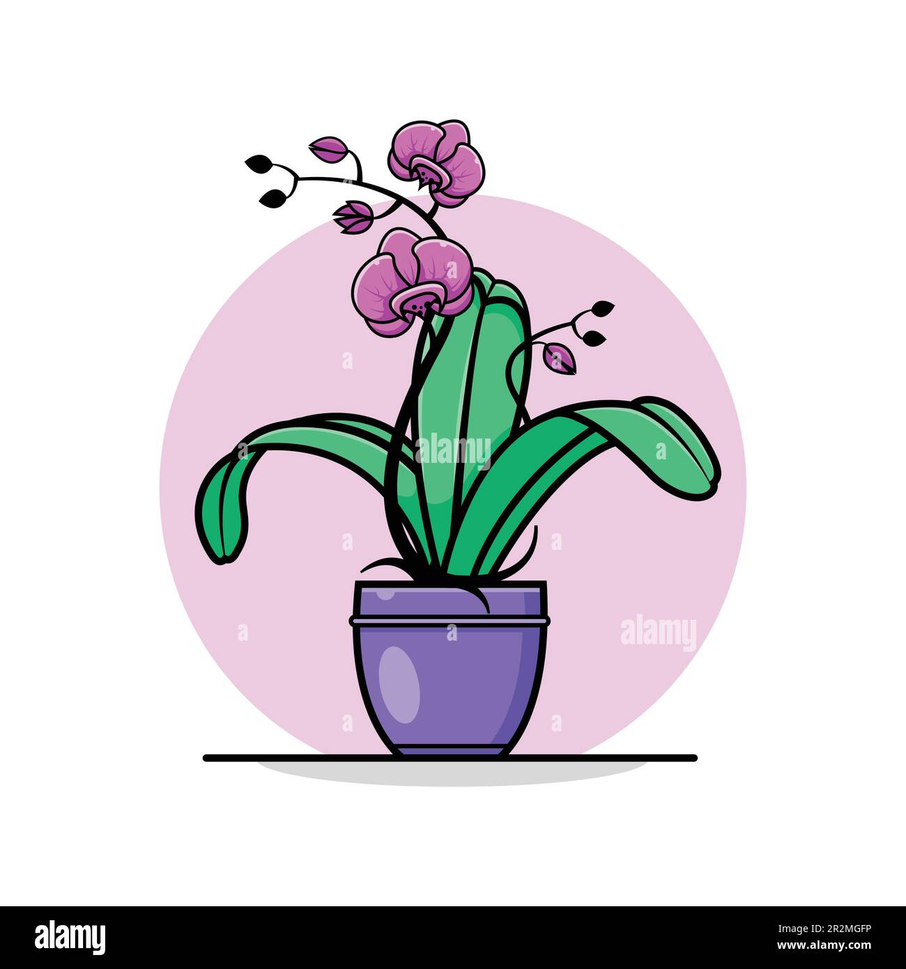 Orchideenblume im Topf. Flaches Design mit exotischem Blumendesign. Stock Vektor