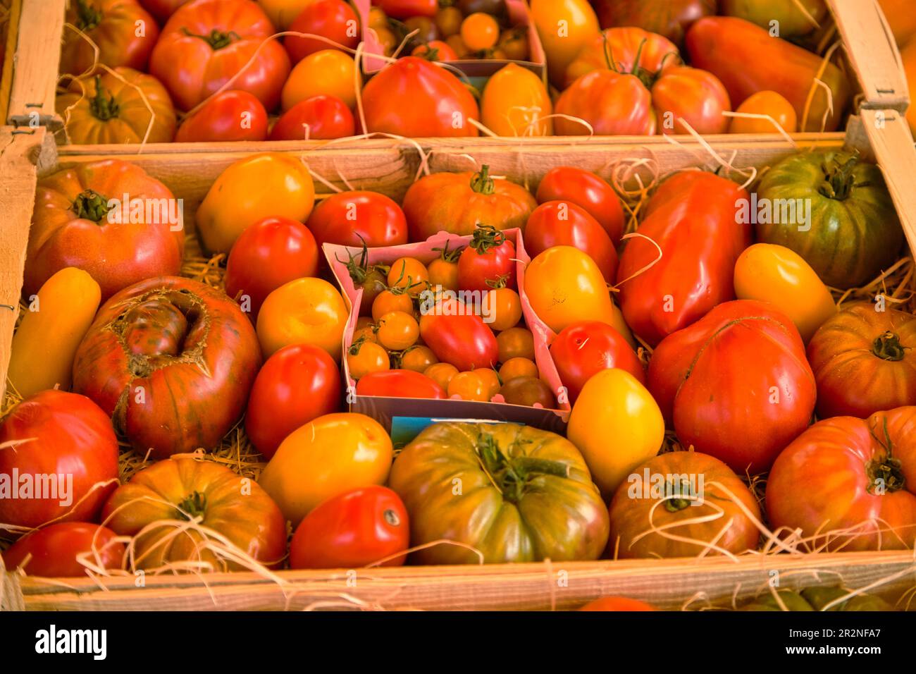 Tomaten auf dem Markt von L'Isle-sur-la-Sorgue, Departement Vaucluse in der Region Provence-Alpes-Cote d'Azur, Provence, Frankreich Stockfoto