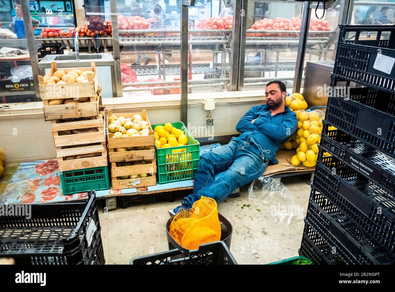 Lissabon, Portugal, Junge Erwachsene, Menschen, Nickerchen, Sieste, im lokalen Lebensmittelmarkt, 'Time Out Market', Sleeping on the Job, Gemüsehändler drinnen Stockfoto