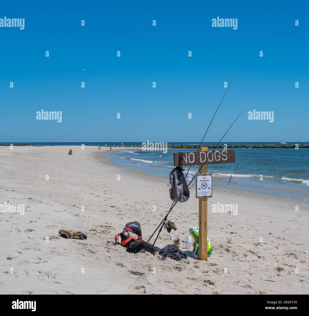 BARNEGAT LIGHT, N.J. – 6. Mai 2023: An einem Strand in Barnegat Light auf Long Beach Island ist ein Schild zu sehen, das Hunde verbietet. Stockfoto