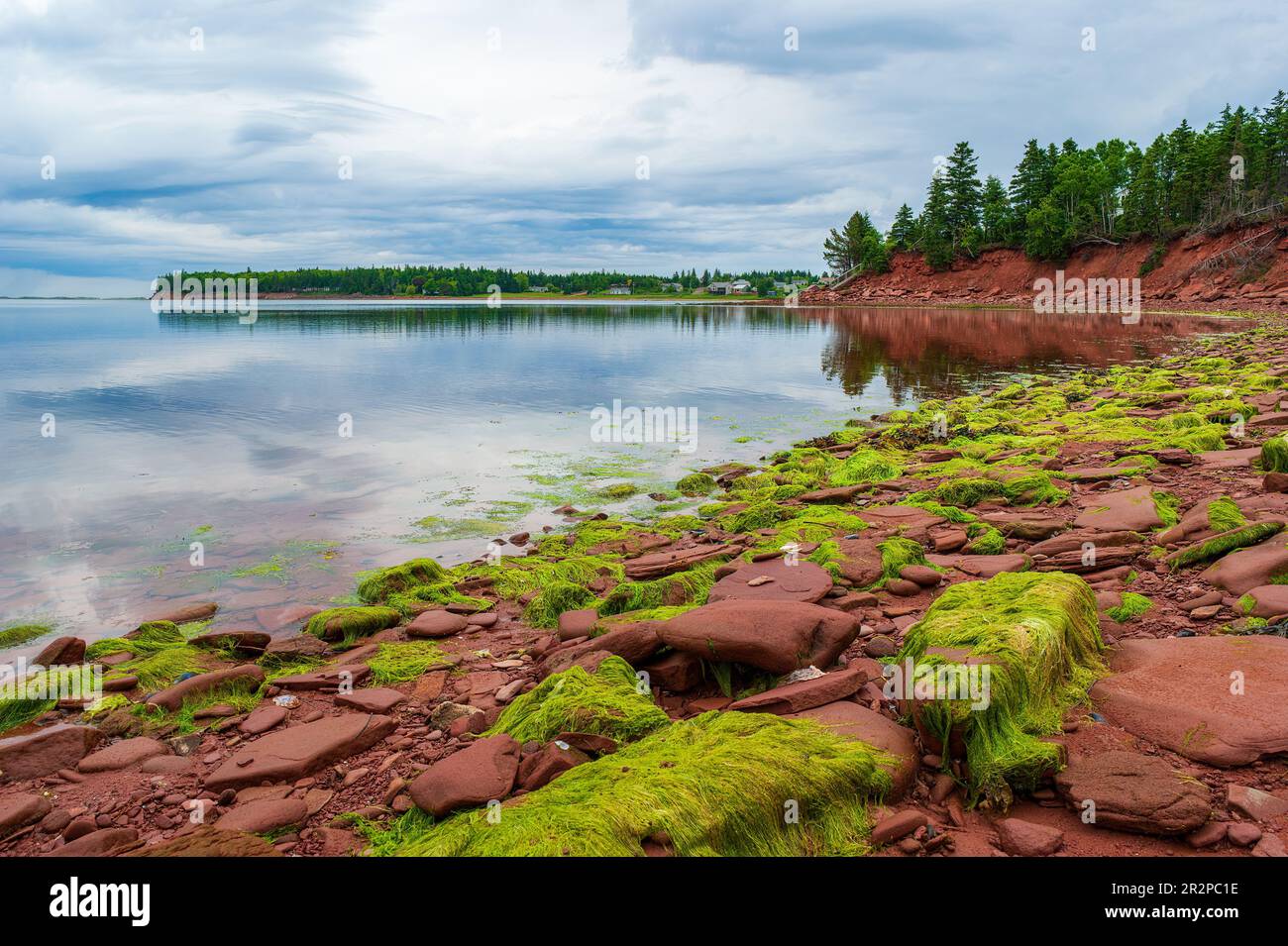 Swimming Rock - ein öffentlicher Strand in der Nähe von roten Sandsteinklippen am Nordufer von Prince Edward Island, Kanada. Ruhiges Wasser. Felsiges Ufer. Grüne Algen. Stockfoto