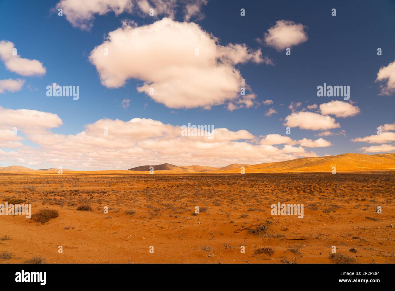 Breite trockene afrikanische Landschaft mit blauem Himmel, Wolken und gelb-rotem trockenem Boden. Stockfoto