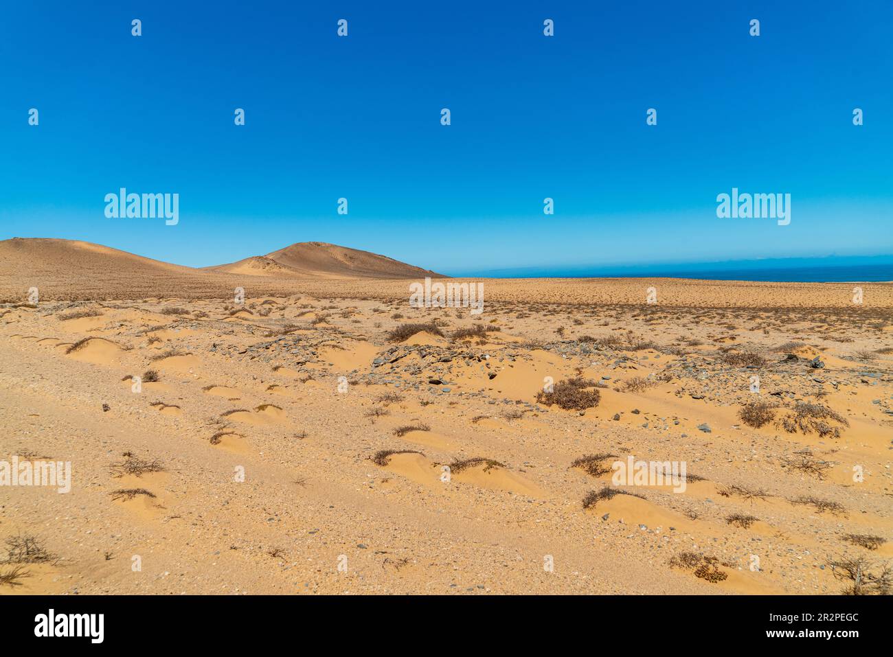 Breite trockene afrikanische Landschaft mit blauem Himmel und gelbem Sand. Stockfoto