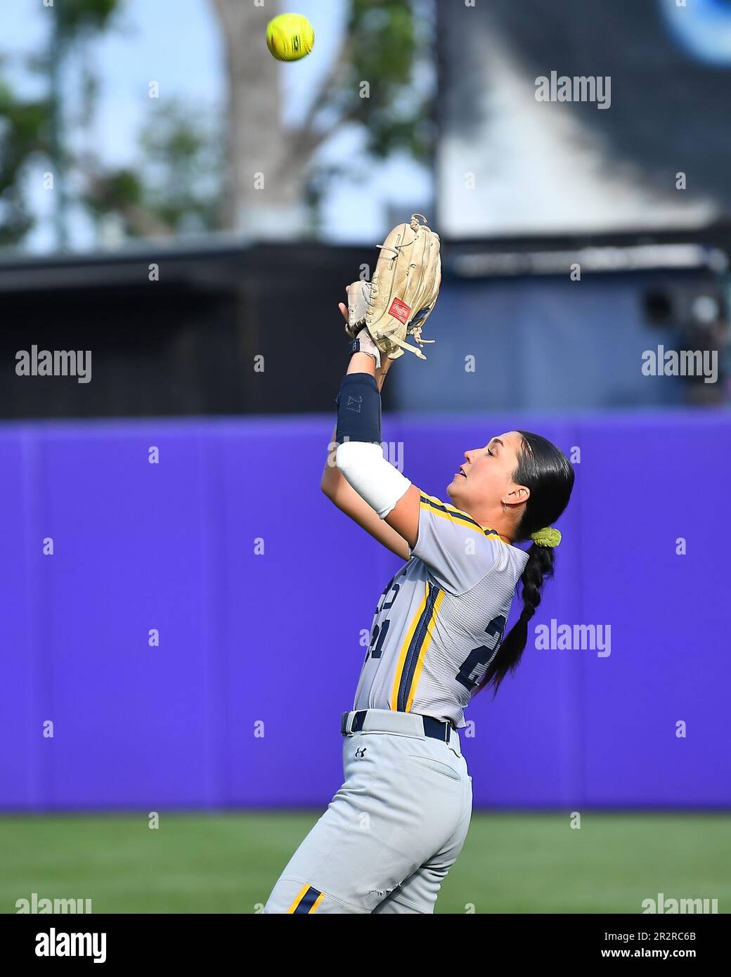 Northern Colo. 20. Mai 2023. Outfielder Jayden Mercado (21) legt im Husky Softball Stadium in Seattle, WA, beim regionalen NCAA-Softballspiel zwischen den N. Colorado Bears und den Minnesota Golden Gophers einen Fliegenball. Minnesota besiegte N. Colorado 4-0. Steve Faber/CSM/Alamy Live News Stockfoto