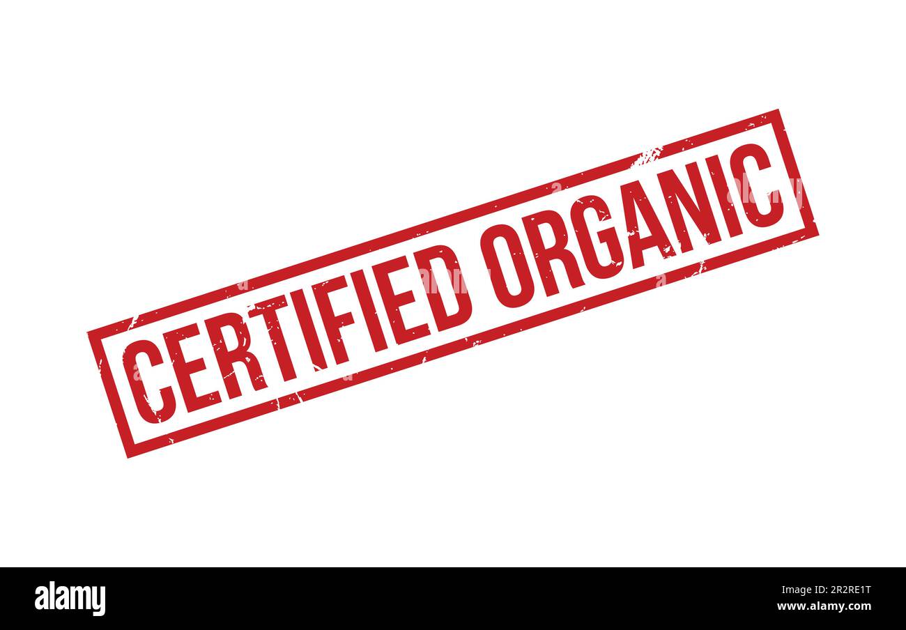 Zertifizierter Vektor Für Stempelabdichtungen Aus Organischem Gummi Stock Vektor