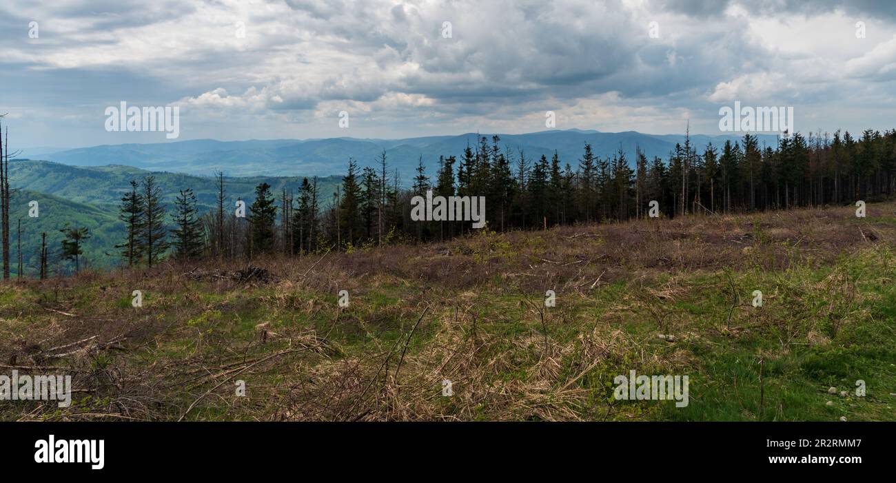 Moravskoslezske Beskydy Berge mit dem höchsten Lysa-Hora-Hügel von der Waldglade unten Velka Cantoryje Hügel in Slezske Beskydy Berge auf tschechisch - po Stockfoto