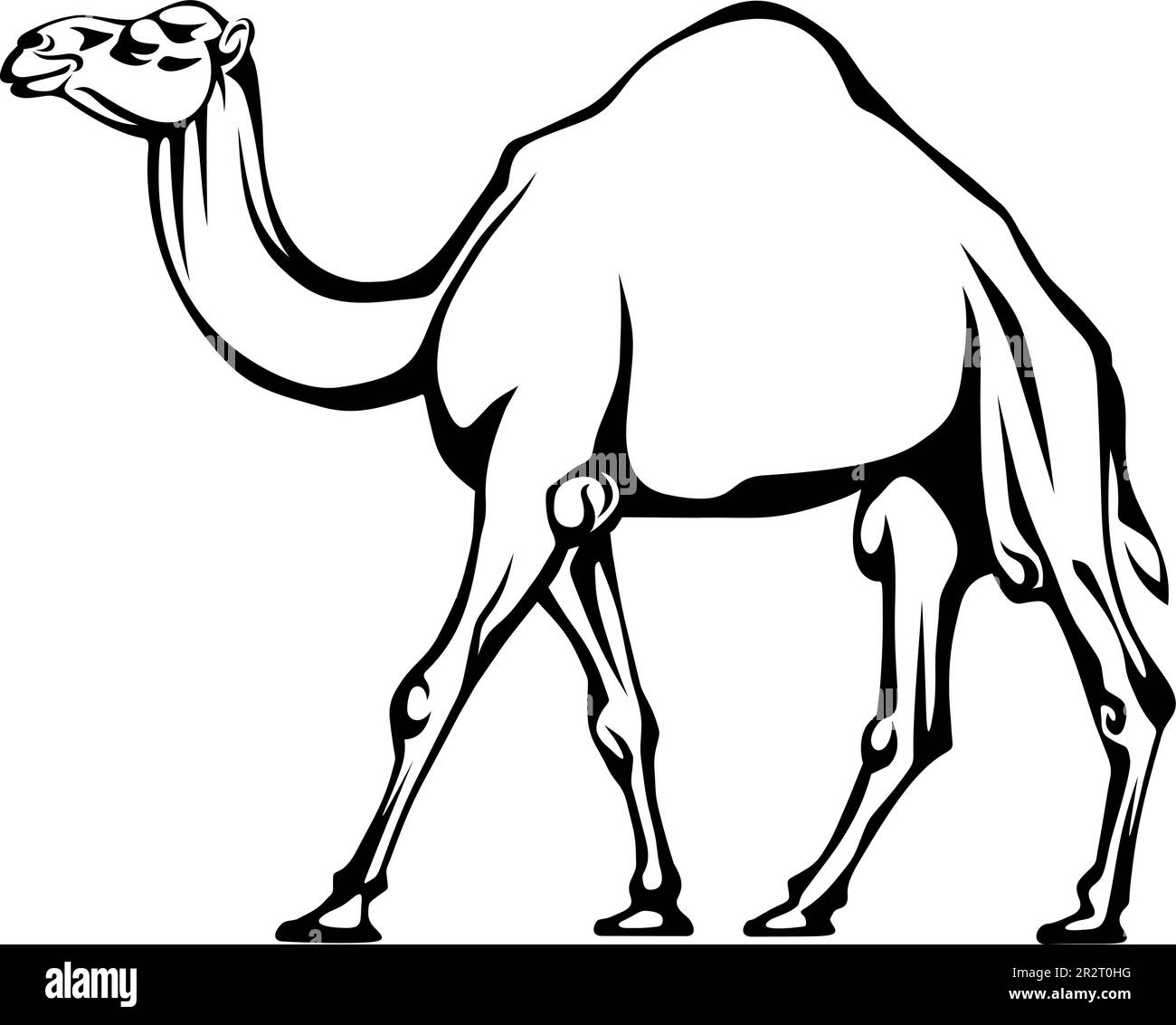 Kamel. Schwarz-Weiß-Darstellung eines wandelnden Kamels isoliert auf weißem Hintergrund. Konturzeichnung. Vektordarstellung Stock Vektor