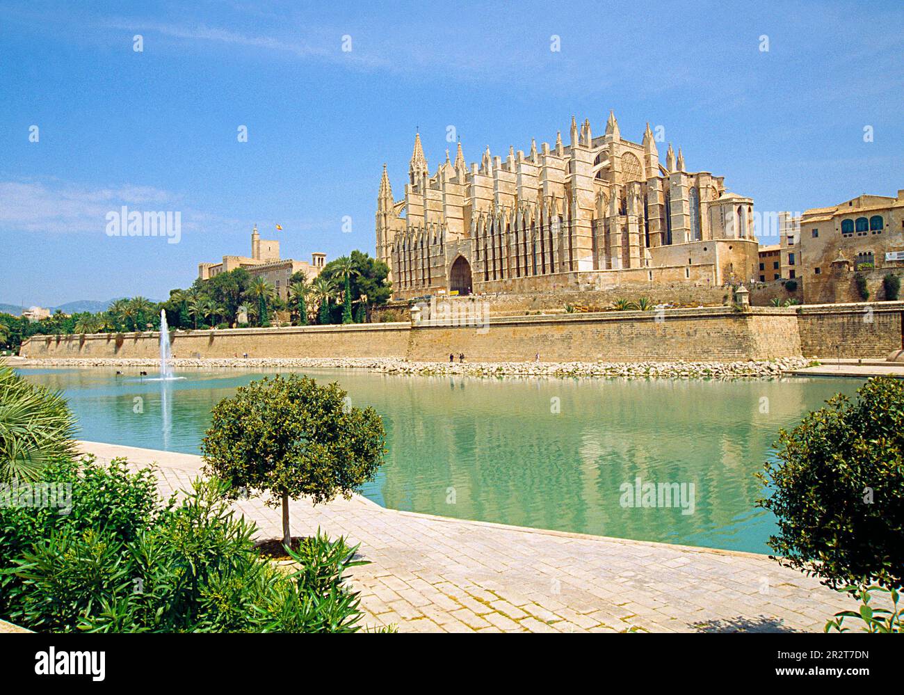 Parc de la Mar und Kathedrale. Palma de Mallorca, Spanien. Stockfoto