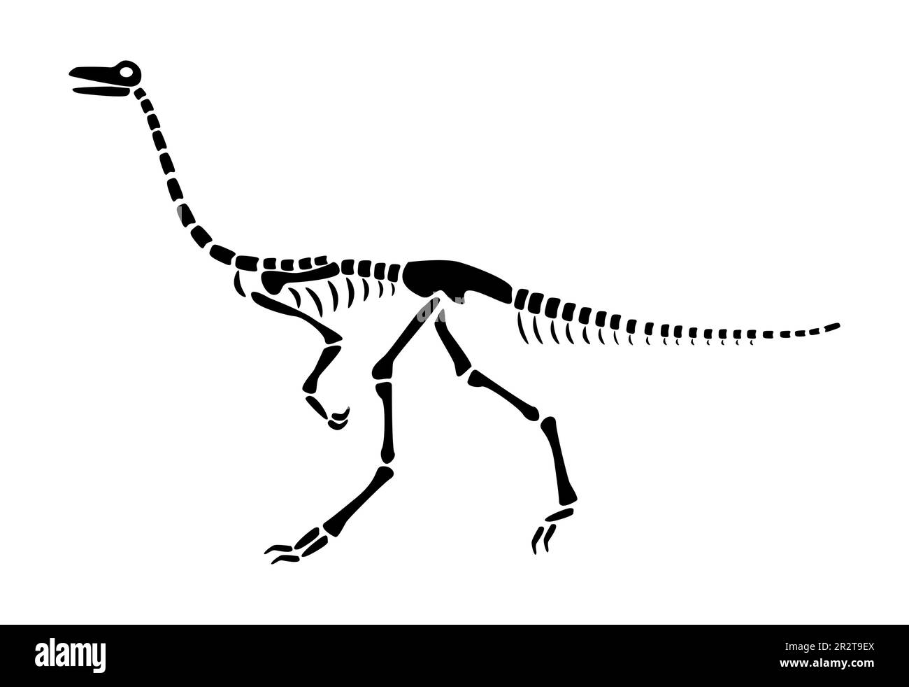 Das Gallimimus-Skelett. Silhouetten-Dinosaurier. Seitenansicht . Vector . Stock Vektor