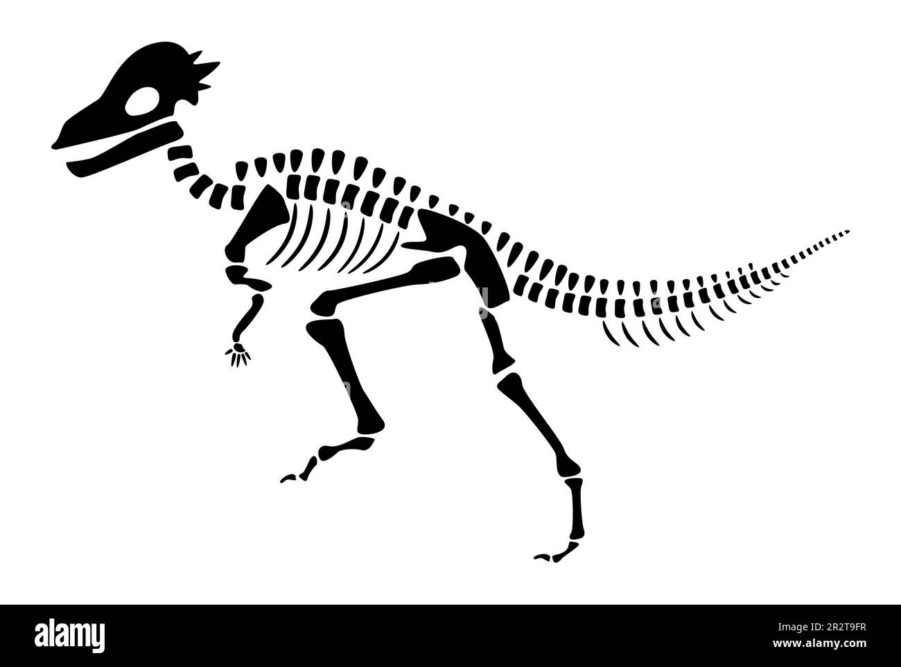 Das Pachycephalosaurus-Skelett. Silhouetten-Dinosaurier. Seitenansicht . Vector . Stock Vektor