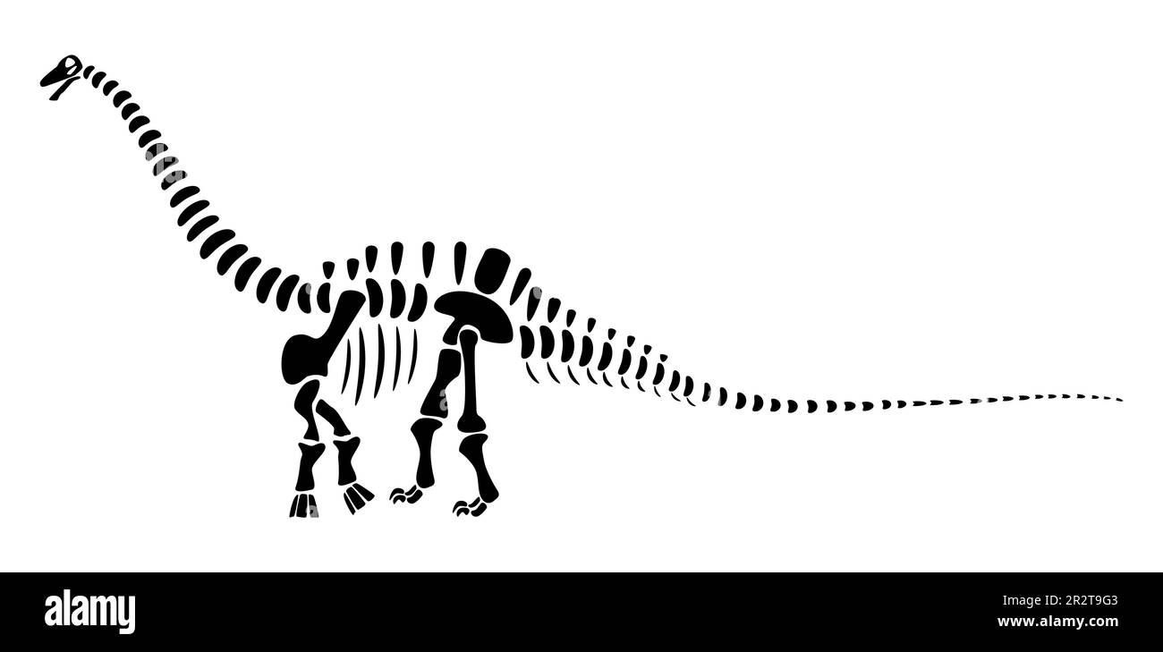 Das Apatosaurus-Skelett. Silhouetten-Dinosaurier. Seitenansicht . Vector . Stock Vektor