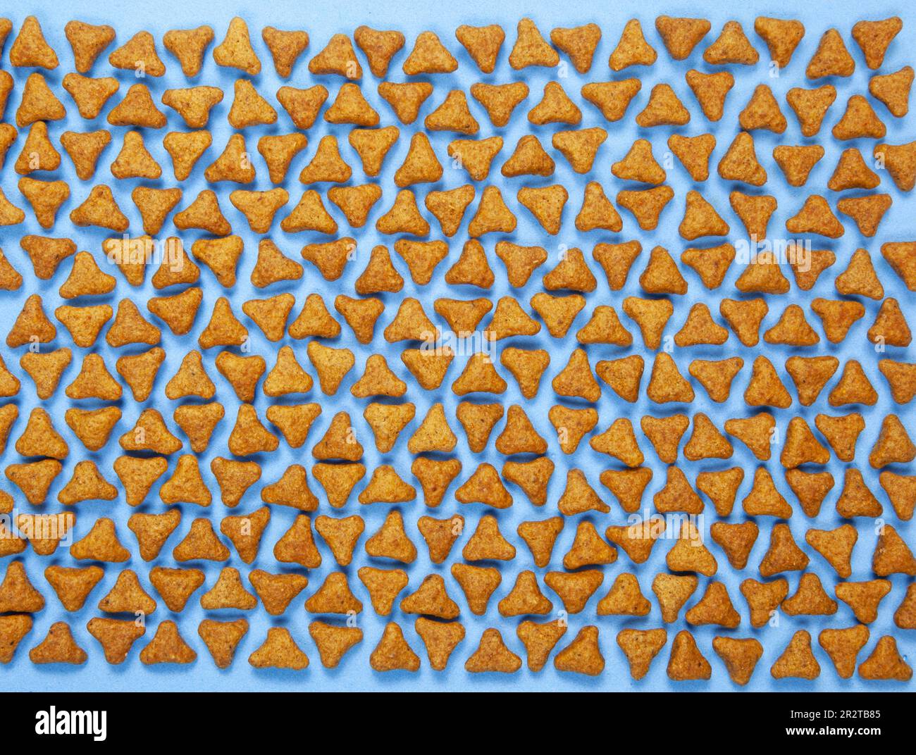 Lustige, flache Lage mit Tierkibble auf blauem Hintergrund. Dreieckige Pellets von Katzen- oder Hundefutter, Draufsicht Stockfoto
