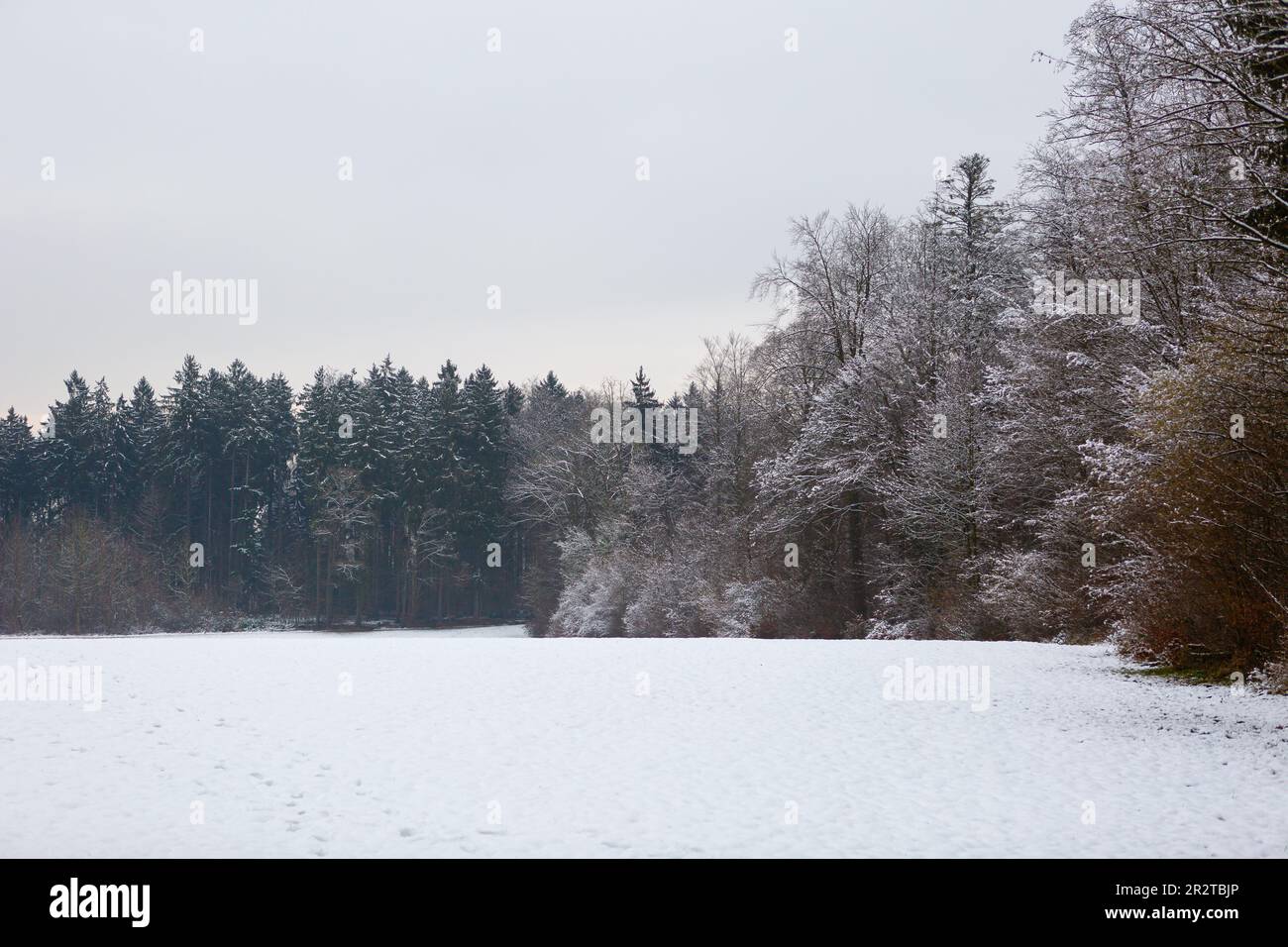 Bezaubernde Winterstadt im verschneiten Wald Stockfoto