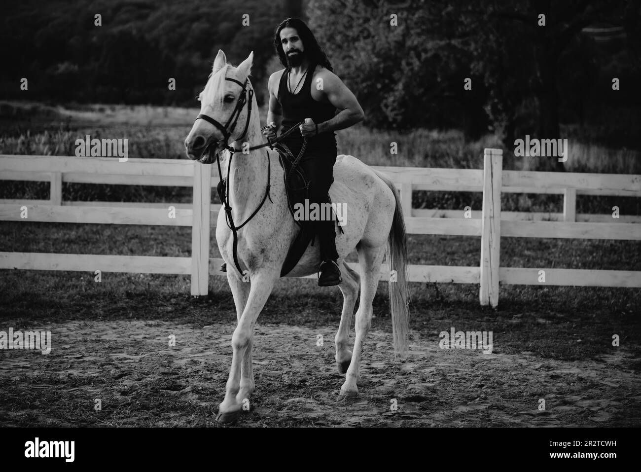 Attraktiver Mann, der im Herbst auf dem weißen Pferd auf der Ranch sitzt. Die ganze Länge des jungen hübschen Mannes sitzt auf seinem Hengst auf dem Land. Mann Stockfoto