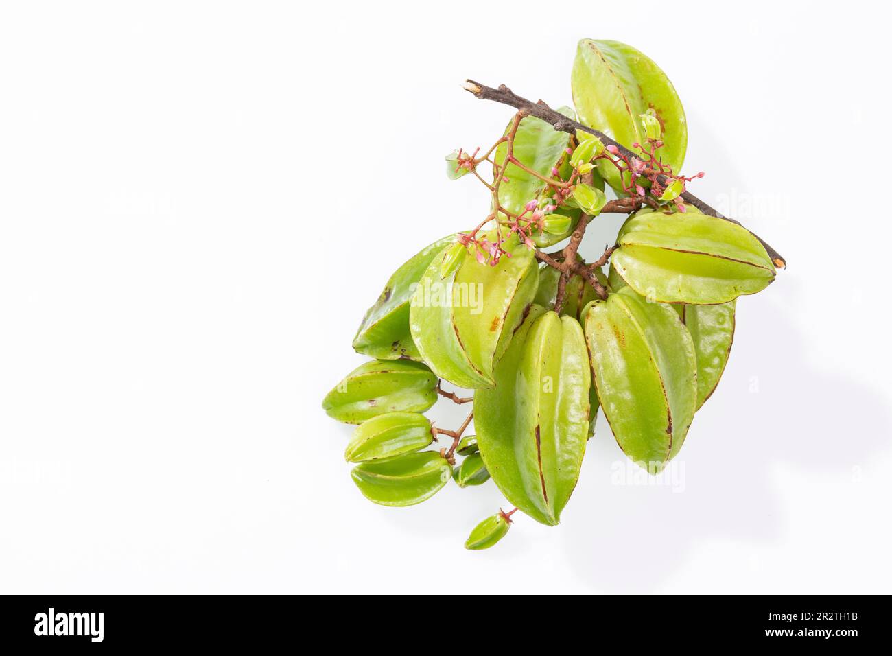 Sternenfrucht oder Carambolagrün - Averrhoa Carambola; Foto auf weißem Hintergrund Stockfoto