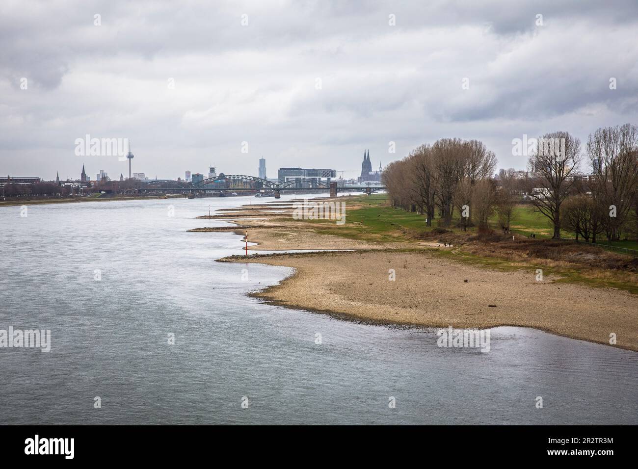 Rheinspiegel von 2,12 m am 24. Februar 2023, Rheinufer in Köln-Poll, Blick auf den Rheinauer Hafen und den Dom, Köln. Stockfoto