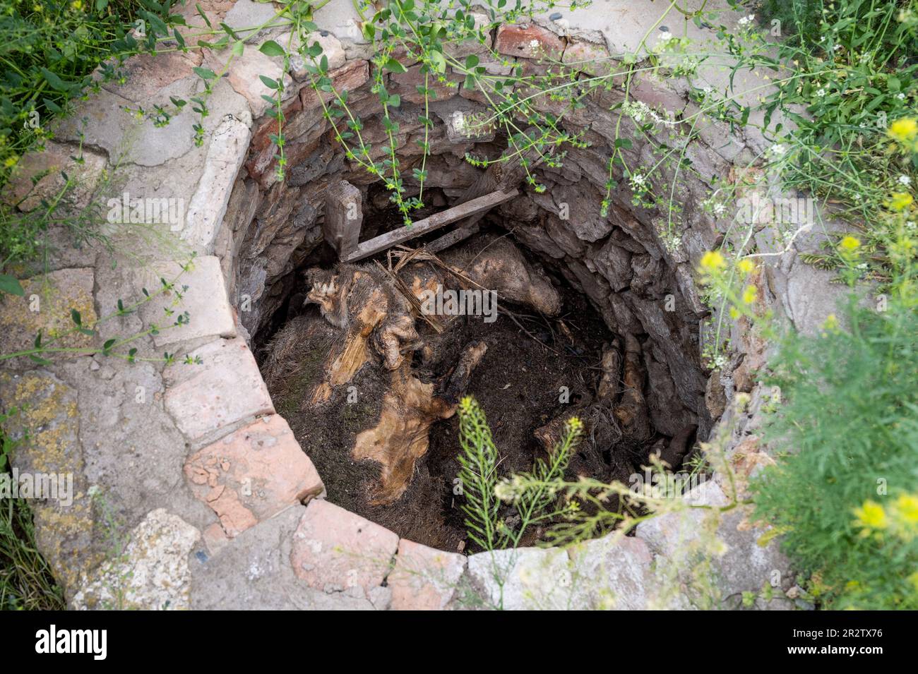 Velyka Oleksandrivka, Ukraine. 19. Mai 2023. Schweine auf dem Grund eines Brunnens auf einem Bauernhof gefunden, der während des Krieges zwischen Russland und der Ukraine auf einem Bauernhof in Velyka Oleksandrivka, Ukraine, zerstört wurde. (Foto: Michael Brochstein/Sipa USA) Guthaben: SIPA USA/Alamy Live News Stockfoto