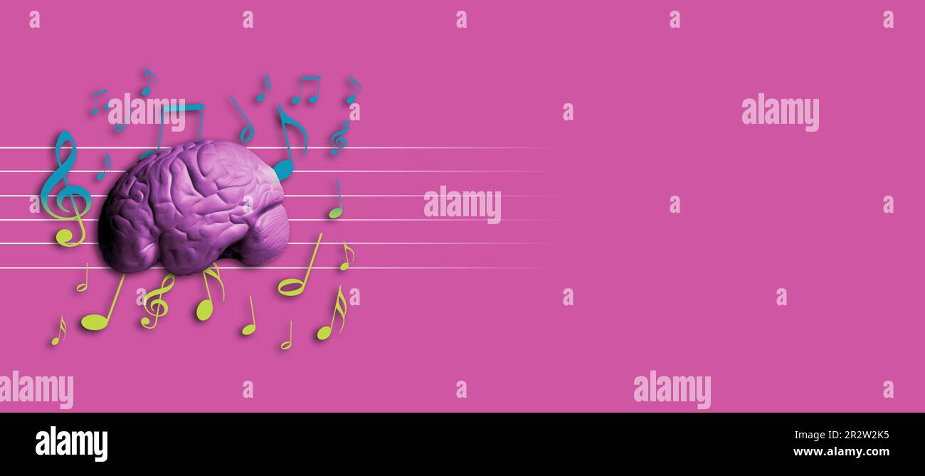 Menschliches Gehirn und Hintergrundmusik Stockfoto