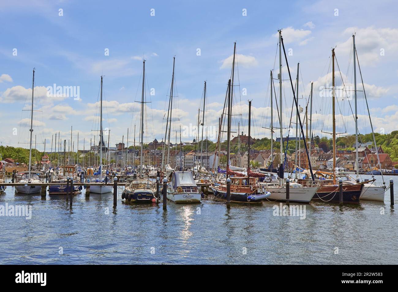 Blick auf das Westufer von Flensburg. Segelboote im wunderschönen Licht. Stockfoto