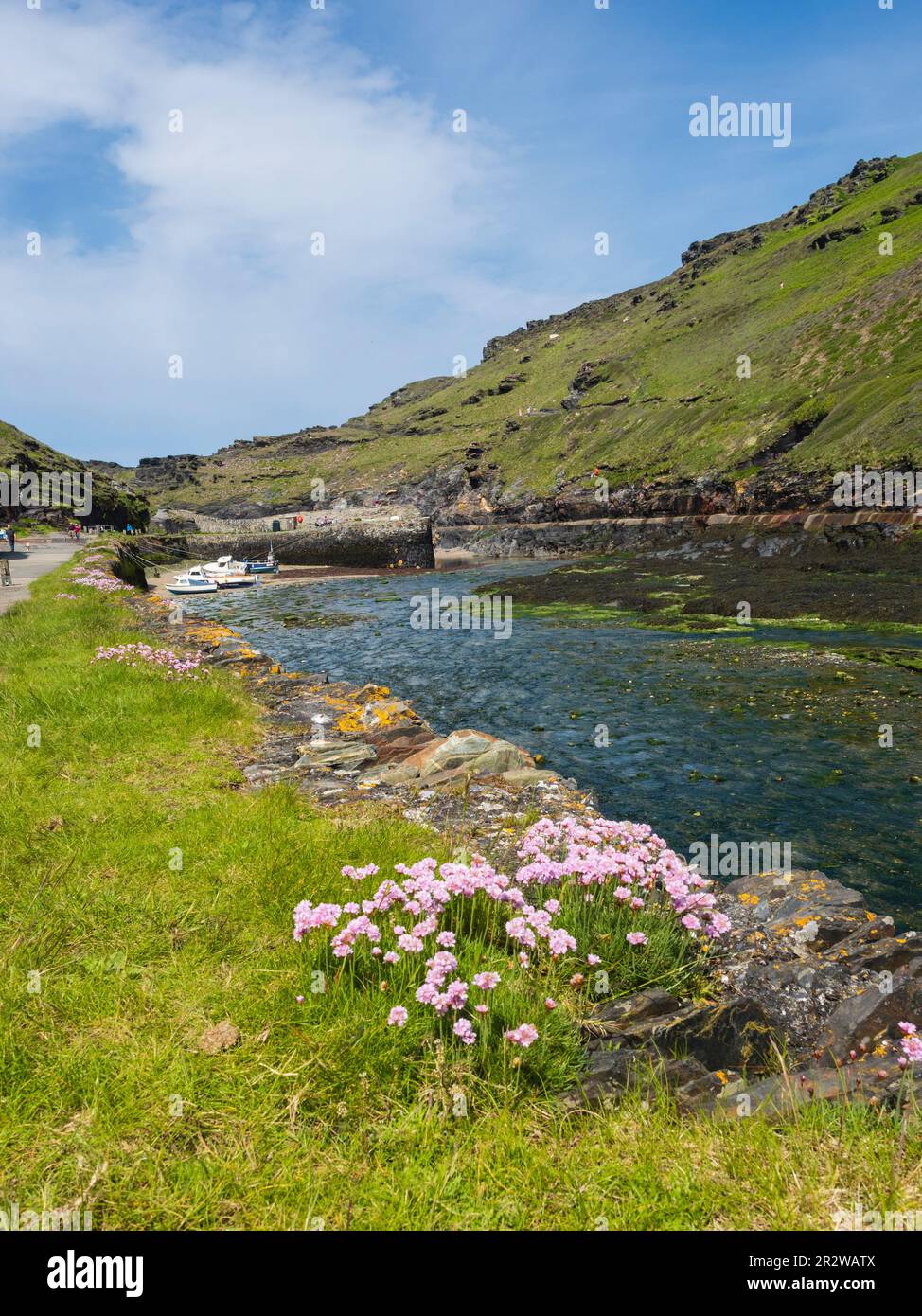 Boscastle, Cornwall, Großbritannien, Hafen im felsigen Gelände der Nordküste von Cornwall Stockfoto