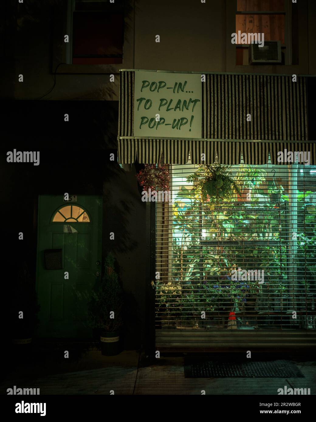 Pflanzen Pop-up-Laden bei Nacht in Red Hook, Brooklyn, New York Stockfoto