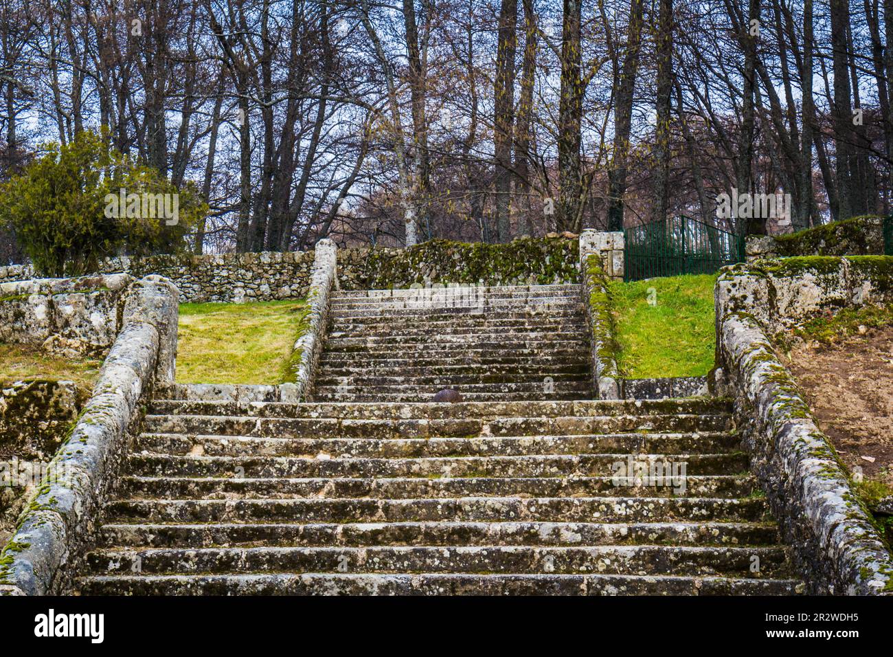 Steintreppen in einem Garten Stockfoto