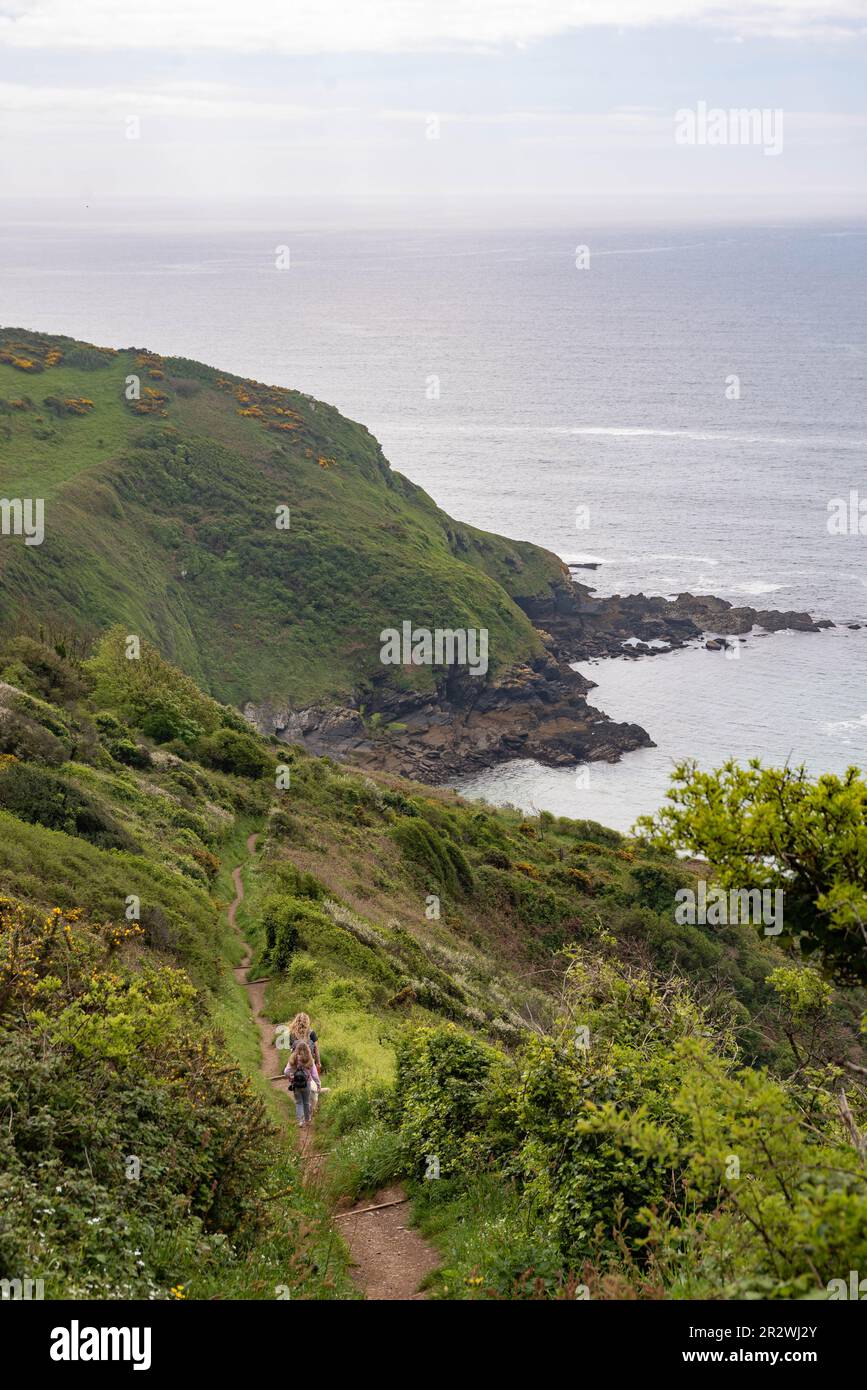Blick auf Lantic Bay Beach in Cornwall, Großbritannien. Stockfoto