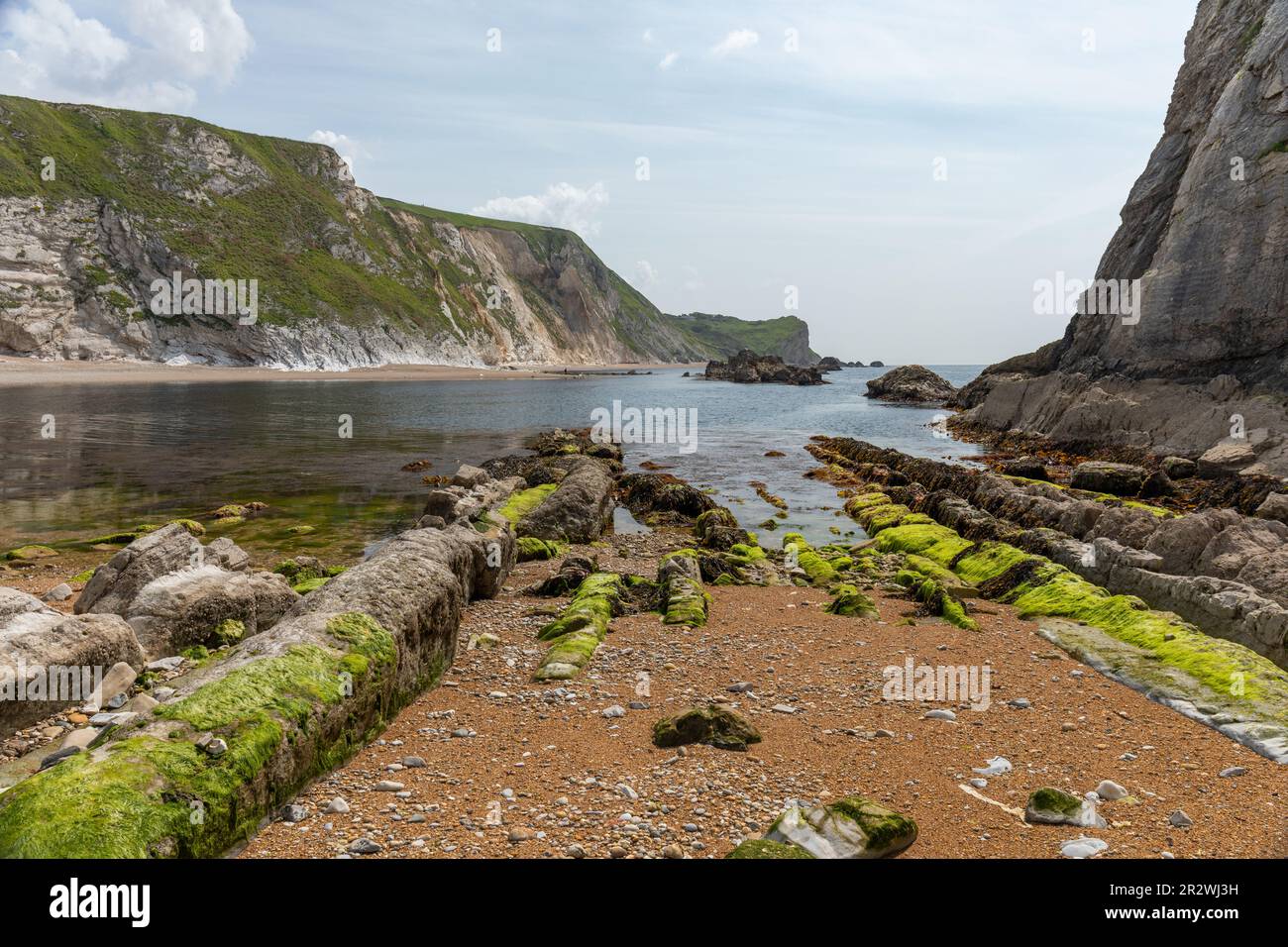 Man O' war Bay ist eine geschlossene Bucht in der Nähe von Durdle Door entlang der Jurassic Coast, Dorset, England, Vereinigtes Königreich Stockfoto