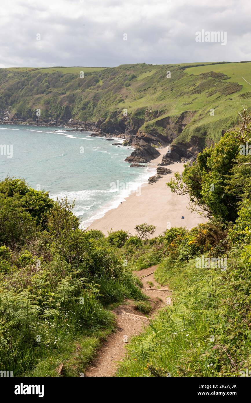 Blick auf Lantic Bay Beach in Cornwall, Großbritannien. Stockfoto