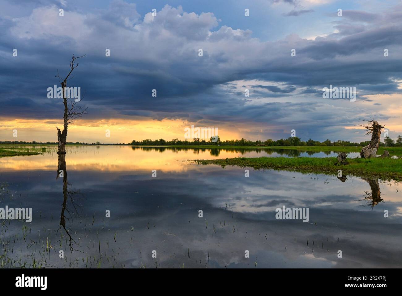 Der Fluss oder an der Grenze zwischen Deutschland und Polen Stockfoto