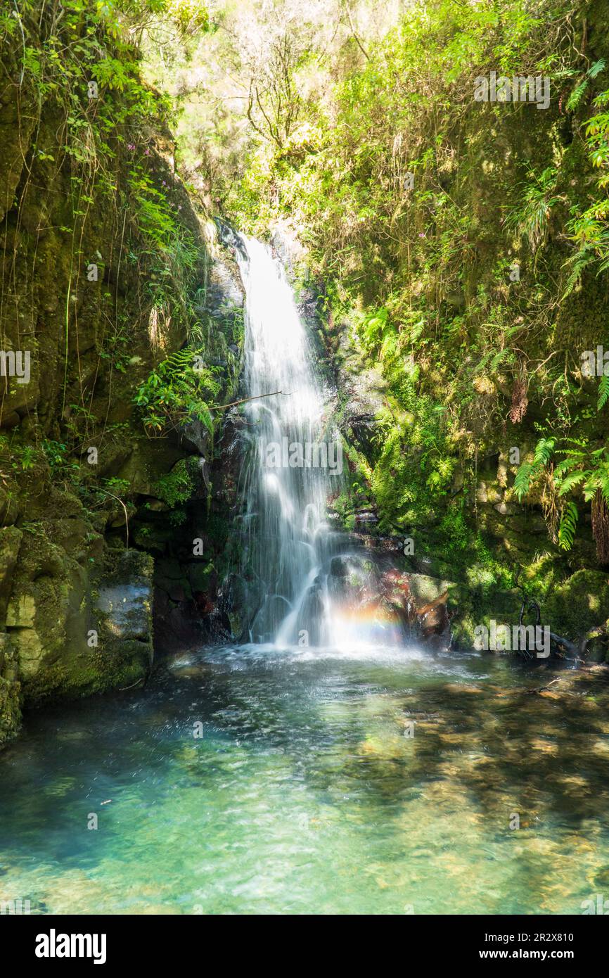 Luftaufnahme der 25 Fontes oder 25 Springs in englischer Sprache. Es ist eine Gruppe von Wasserfällen in Rabacal, Paul da Serra auf Madeira. Zugriff ist möglich Stockfoto