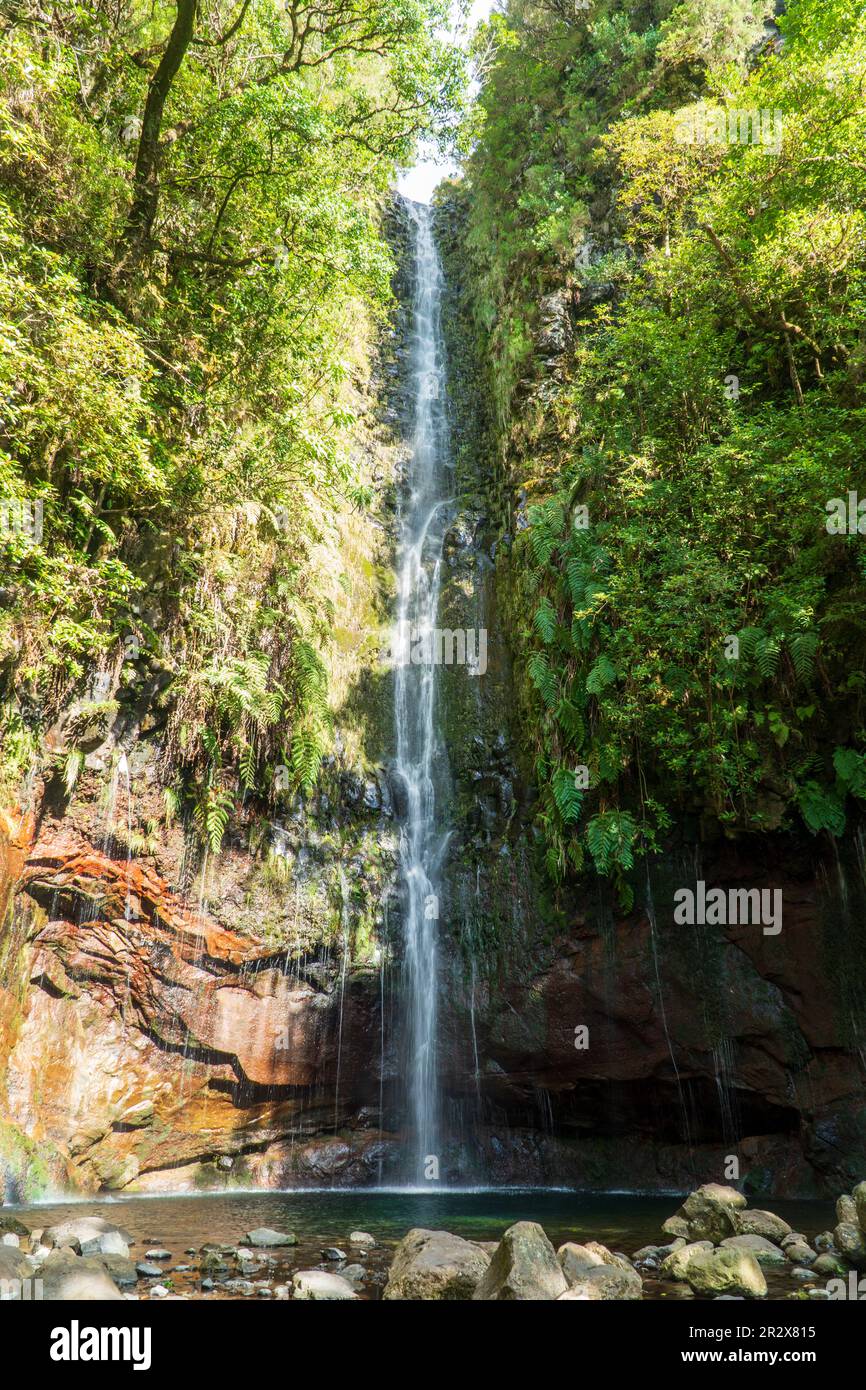 Luftaufnahme der 25 Fontes oder 25 Springs in englischer Sprache. Es ist eine Gruppe von Wasserfällen in Rabacal, Paul da Serra auf Madeira. Zugriff ist möglich Stockfoto