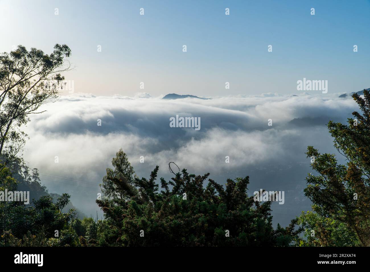 Das Licht der untergehenden Sonne erhellt eine Landschaft, die von Nebel und Wolken, Bergen und Tälern mit anhaltendem Nebel, Madeira, umgeben ist Stockfoto
