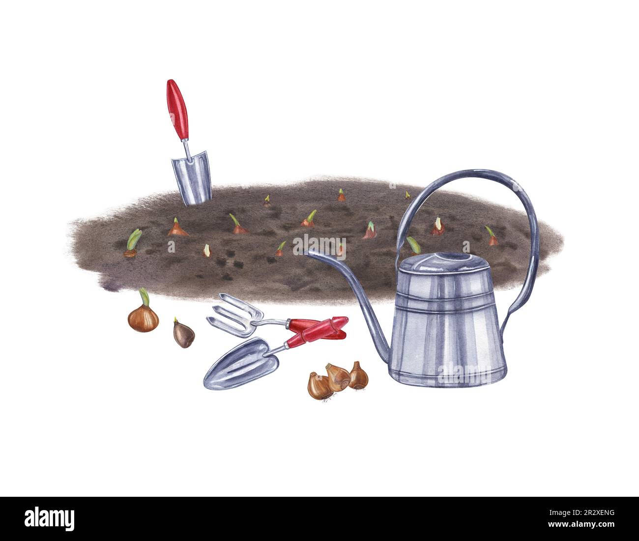 Blumenzwiebeln in den Boden Pflanzen und sie pflegen. Gießkanne, Erde, Kelle, kleine Gabel, Tulpenknolle, Narzissen. Aquarelldarstellung Stockfoto