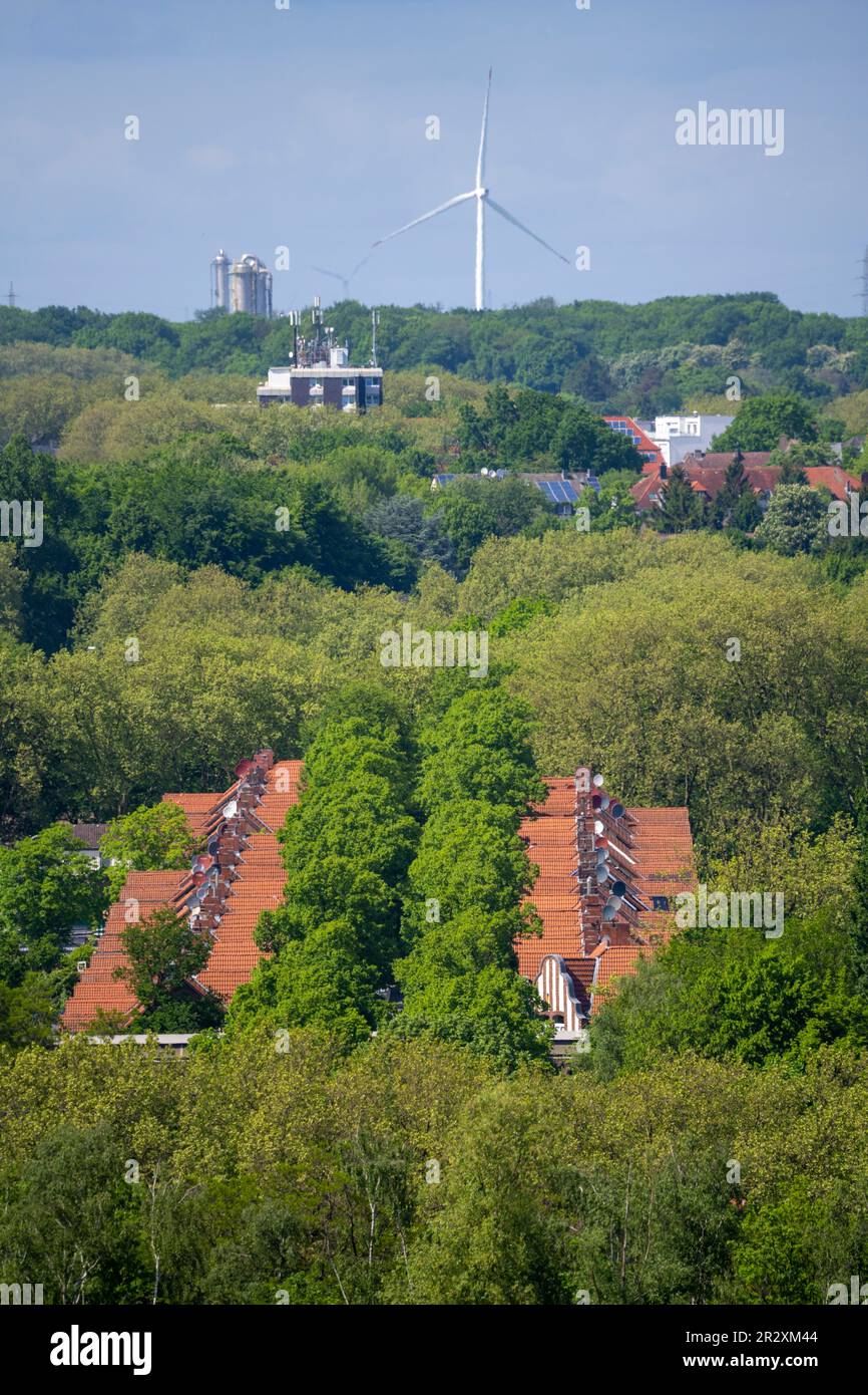 Wohnhäuser, Reihenhäuser, Wohnsiedlung Phönixstraße in Gladbeck, auf dem Land, NRW, Deutschland Stockfoto