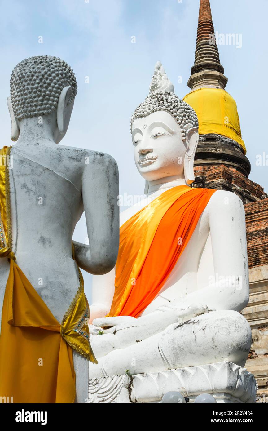 Buddha-Statuen vor der Stupa in Wat Yai Chai Mongkhon, Ayutthaya, Thailand, UNESCO-Weltkulturerbe Stockfoto