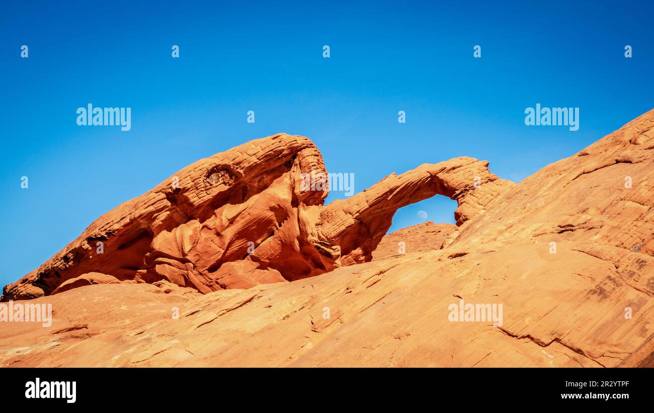 Der Mond erhebt sich über der Arch Rock Formation im Valley of Fire State Park in Nevada Stockfoto