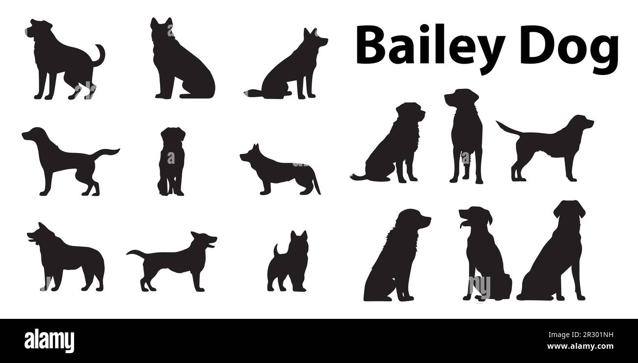 Ein Satz Bailey-Hunde-Vektorbilder. Stock Vektor