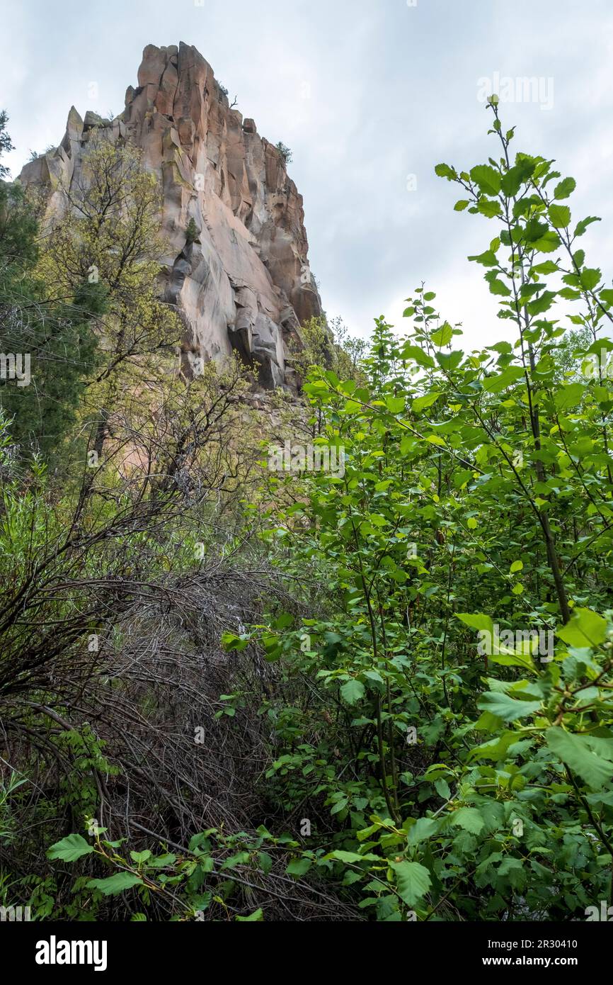 Battleship Rock, in der Nähe von Jemez Springs, New Mexico, USA Stockfoto