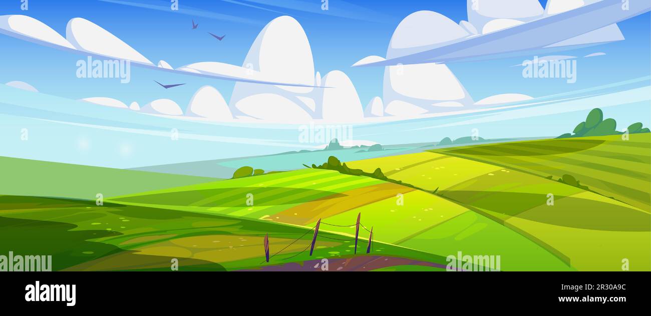 Grünes Sommerfeld an sonnigen Tagen. Vektor-Cartoon-Illustration der wunderschönen Landschaft, ländlichen Gegend, üppigem Gras oder landwirtschaftlicher Nutzpflanzen, die auf Ackerland wachsen, Vögel fliegen im blauen Himmel mit Wolken Stock Vektor