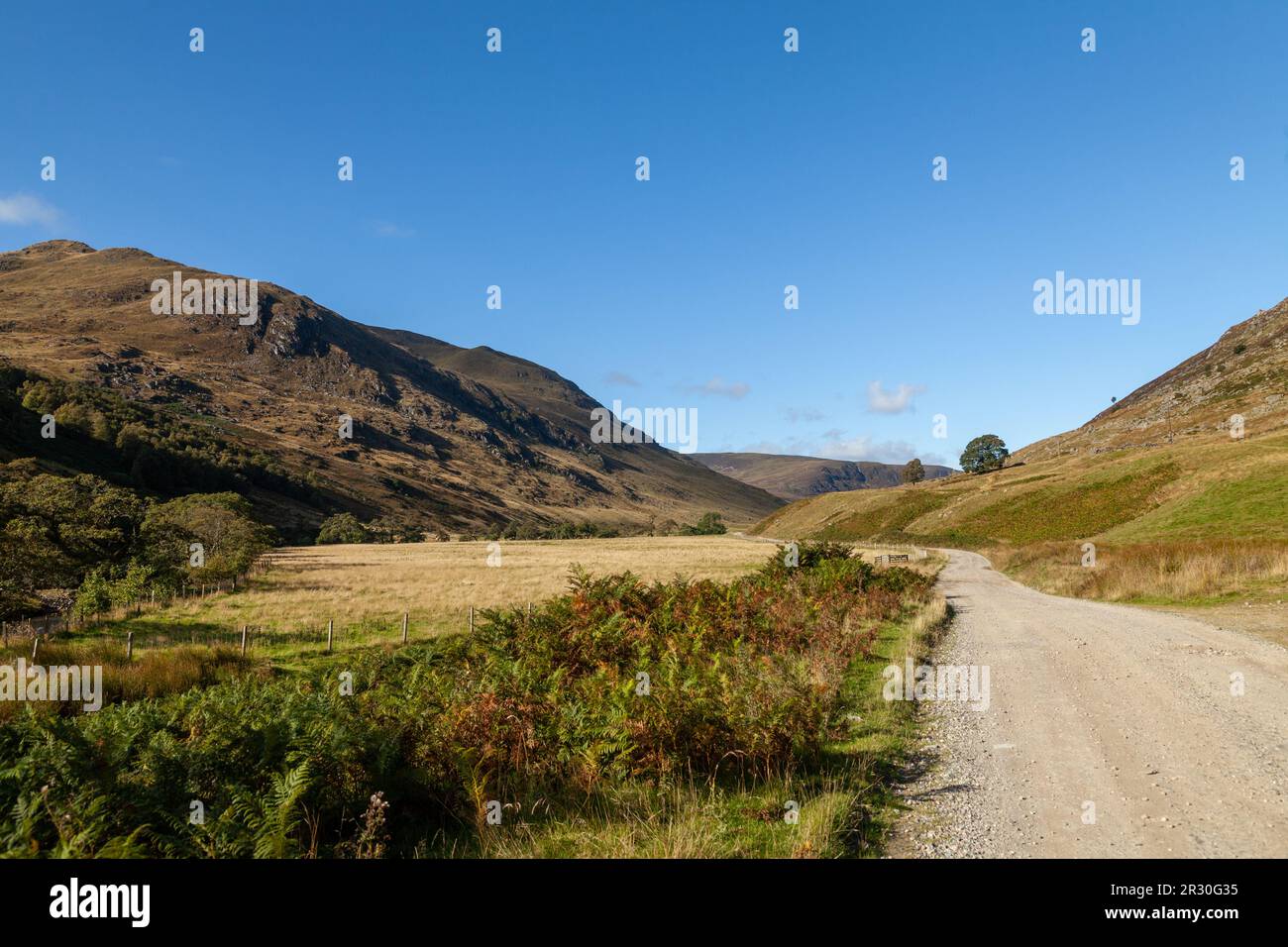 Nach Westen auf Glen Almond, Perth und Kinross, Schottland Stockfoto