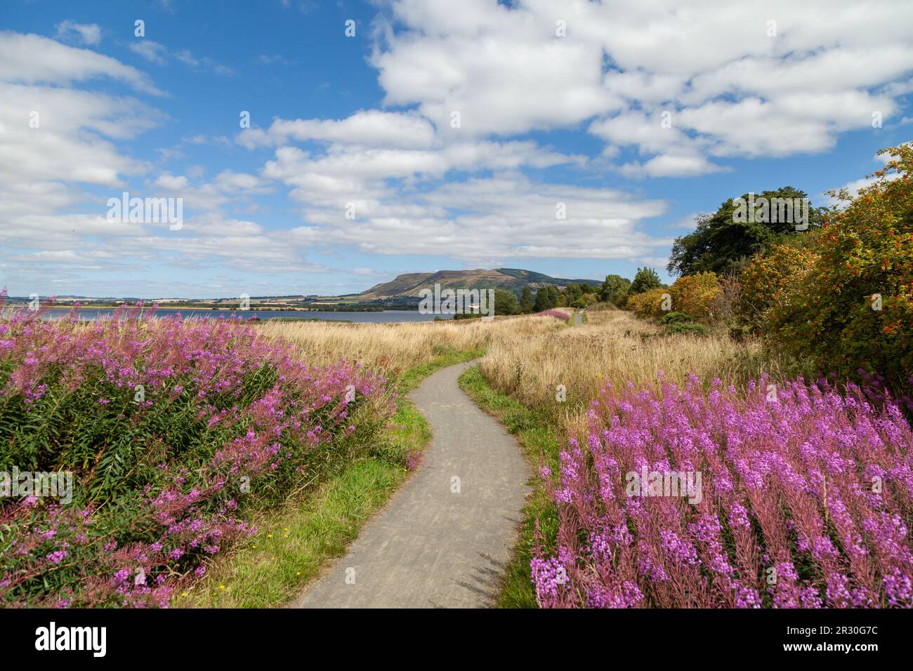 Ein Fußweg durch das RSPB Loch Leven Naturschutzgebiet mit Bishop Hill im Hintergrund Stockfoto