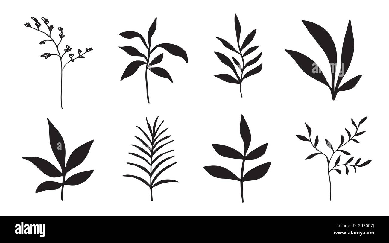 Set mit Blumenelementen, botanische Handzeichnungen Stock Vektor